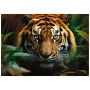 Пазл Trefl Дикий тигр 1000 елементів (5900511107982)