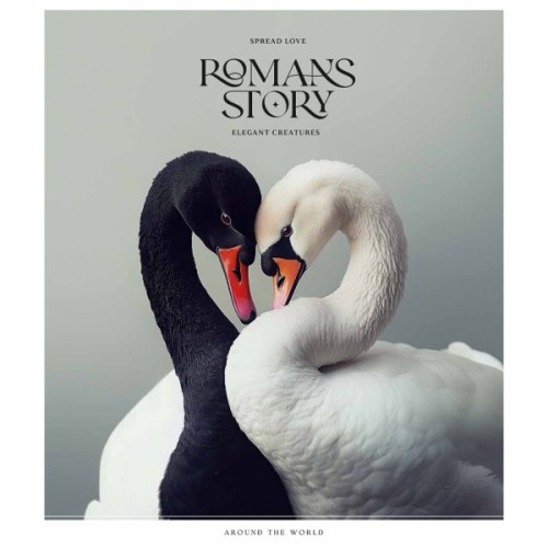 Зошит Школярик Romance stories 96 аркушів лінія (096-3571L)