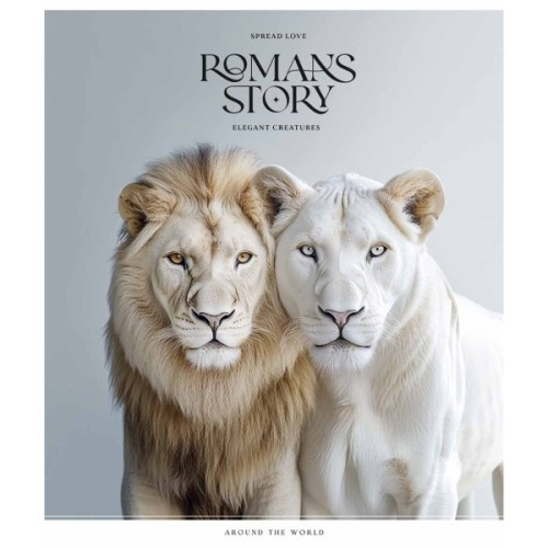 Зошит Школярик Romance stories 96 аркушів лінія (096-3571L)