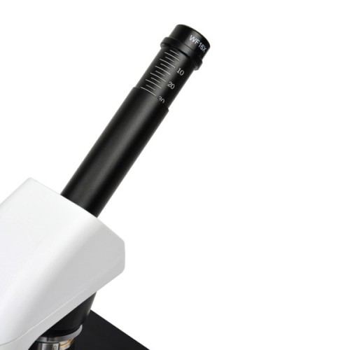 Мікроскоп Sigeta COREON 40x-1280x LED Mono (65267)