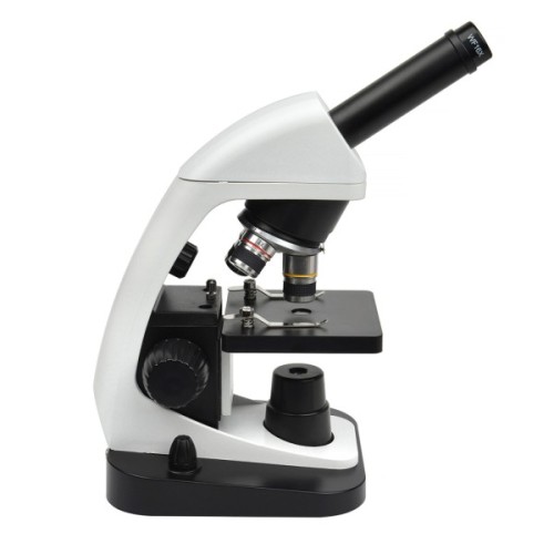 Мікроскоп Sigeta COREON 40x-1280x LED Mono (65267)