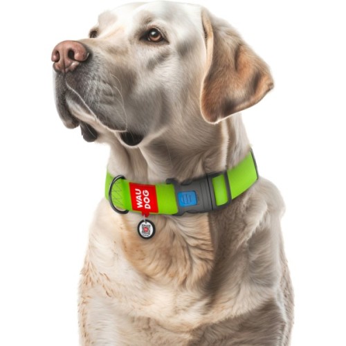 Нашийник для тварин WAUDOG Waterproof з QR паспортом пластиковий фастекс XXL салатовий (25115)