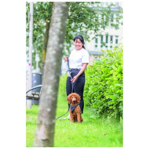 Шлея для собак Trixie CityStyle H-harness Бавовна M–L 52–75 см 20 мм Чорна (4053032682634)