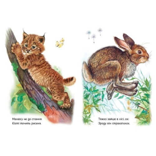 Книга Малятам про звіряток. Лісові звірята. Збірник - Геннадій Меламед Ранок (9786170978752)