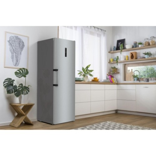 Морозильна камера Gorenje FN619EAXL6