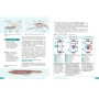 Підручник НУШ Біологія. 8 клас - О.В. Тагліна, А.М. Самойлов, О.М. Утєвська, Л.В. Довгаль Ранок (9786170995896)