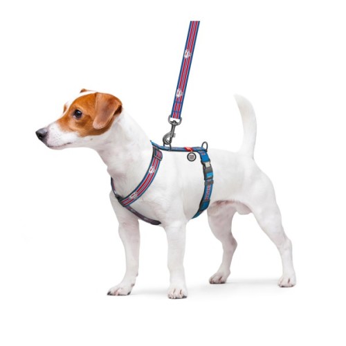 Шлея для собак WAUDOG Nylon H-подібна з QR-паспортом "Супермен Ретро", світловідбивна XL (346-1082)