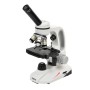 Мікроскоп Sigeta MB-135 40x-1000x LED Mono (65250)