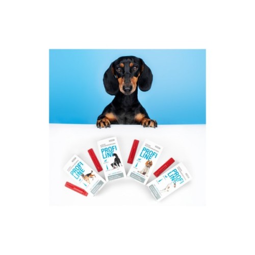 Краплі для тварин ProVET Profiline інсектоакарицид для собак 10-20 кг 4/2 мл (4823082431038)