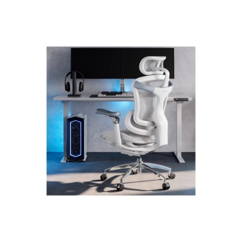Офісне крісло Sihoo DORO C300 Pro Mesh White (DORO-C300-PRO-M102)