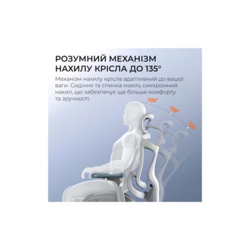 Офісне крісло Sihoo DORO C300 Pro Mesh White (DORO-C300-PRO-M102)