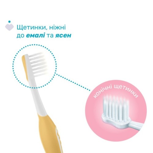 Дитяча зубна щітка Chicco 6-36 міс., 2 шт. бузково/жовта (8058664174706) (12082.00)
