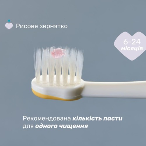 Дитяча зубна щітка Chicco 6-36 міс., 2 шт. бузково/жовта (8058664174706) (12082.00)