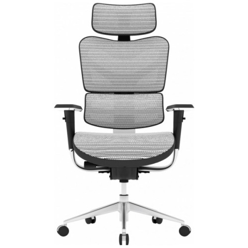 Офісне крісло GT Racer X-702 Light Gray (X-702 Light Gray (W17-1))