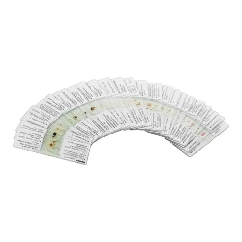 Набір мікропрепаратів Konus Загальна Біологія Зоологія, безхребетні і комахи 25 шт (4977)