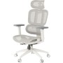 Офісне крісло OfficePro Skyline OC680-W-LG-LG (OC680-W-LG-LG)