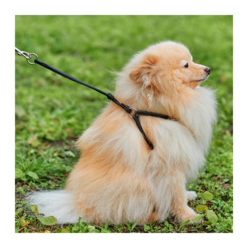 Шлея для собак WAUDOG Soft з QR паспортом кругла Д 6 мм А 26-46 см В 30-50 см чорна (46231)