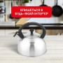 Чайник для плит Tefal Duetto+ зі свистком 2.5 л чорний/сталевий (N4210310)