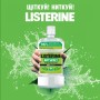 Ополіскувач для порожнини рота Listerine Naturals з ефірними оліями 500 мл (3574661643335/3574661657462)