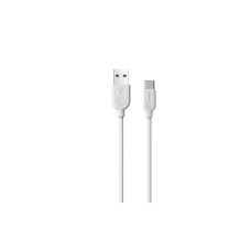 Дата кабель USB 2.0 AM to USB-C 3.0m 2.4A BX14 white BOROFONE (6957531090397)