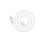 Дата кабель USB 2.0 AM to USB-C 3.0m 2.4A BX14 white BOROFONE (6957531090397)