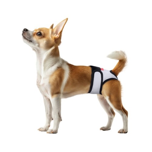 Гігієнічні труси для собак WAUDOG Vet на липучках XS сірі (678111)