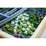 Конструктор LEGO ART «Міст над ставком із лататтям» Клода Моне (31220)