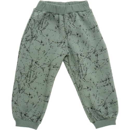 Спортивний костюм дитячий Toontoy флісовий (24868-98B-green)