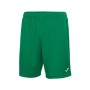 Шорти Joma Nobel 100053.450 зелений XL (9995138944092)