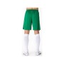 Шорти Joma Nobel 100053.450 зелений XL (9995138944092)