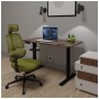 Комплект офісних меблів Mealux PowerDesk Lite Walnut + Leo Air Plus Green (EVO-201 Lite Walnut/B +Y-546 KZ)