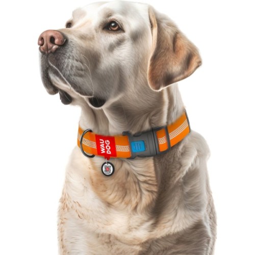 Нашийник для тварин WAUDOG Waterproof пластиковий фастекс XXL Ш 40 мм Д 46-70 см помаранчевий (25104)
