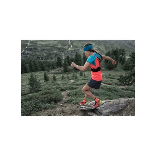 Шкарпетки Dynafit Alpine Short 70879 4571 - 43-46 - помаранчевий (016.002.0171)