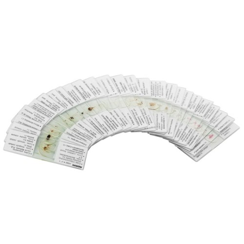 Набір мікропрепаратів Konus Зоологія Комахи 25 шт (4980)