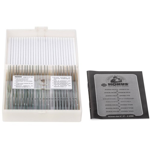 Набір мікропрепаратів Konus Зоологія Комахи 25 шт (4980)