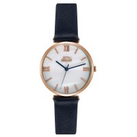 Наручний годинник Slazenger SL.09.6228.3.01