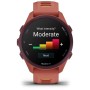 Смарт-годинник Garmin Forerunner 170 Music, GPS, WiFi, Red Pink/Mango, GPS смарт-годинник (010-03920-13)
