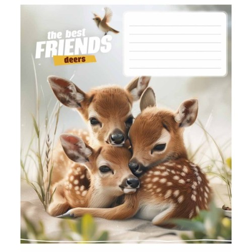 Зошит Школярик The best friends 12 аркушів коса лінія (012-3434C)