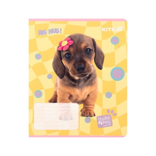 Зошит Kite Studio Pets, 12 аркушів, клітинка (SP25-232)