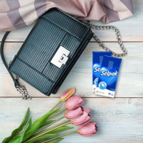 Серветки косметичні Selpak стандарт 10 шт. (8690530001336)