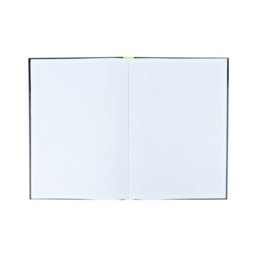 Канцелярська книга Axent Colors А4, 80 аркушів, клітинка, жовта (8421-06-A)