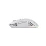 Мишка Trust GXT 929 Helox Wireless/USB-A White (25390)