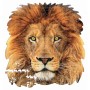 Пазл Educa Голова Лева (6425302)