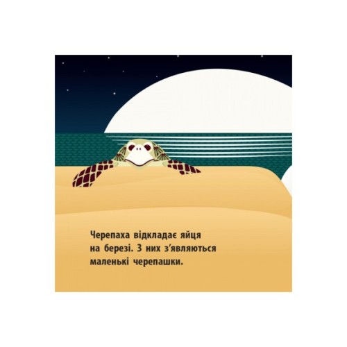 Книга Морський народ - Мадлєн Роджерс Ранок (9789667490102)