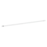 Лампочка MAGNUM FLE-002 18 Вт T8 4000K 220В G13 (90021053)