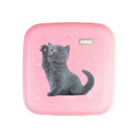 Ланч-бокс дитячий Maxi 850 мл (MX98138)