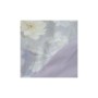 Постільна білизна Viluta 17 Brushed Warm Cotton (50 х 70 - 2 шт) євро (W17_Warm_ev)