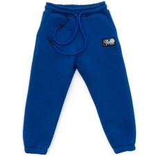 Штани дитячі Cloise спортивні флісові (CL0154024-128G-blue)