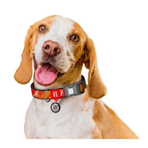 Нашийник для тварин WAUDOG Nylon з QR паспорто "Флеш Лого", світловідбивний M (281-1083)