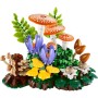 Конструктор LEGO Botanicals Лісові гриби (11505)